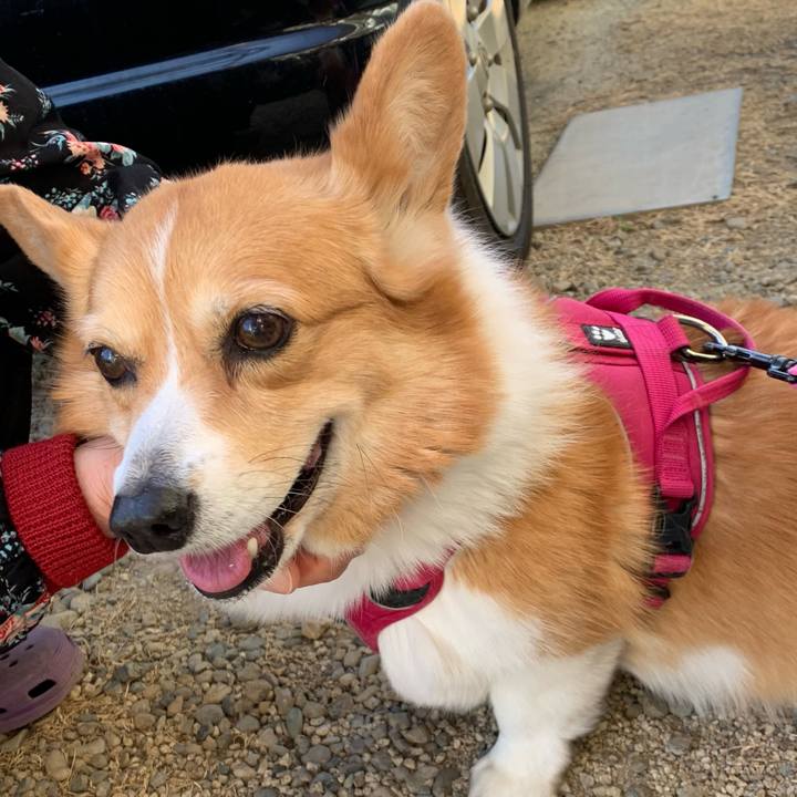 0e2a6a12 fbde 4fa0 8c38 ecbbbb6cd48c 1677400740721