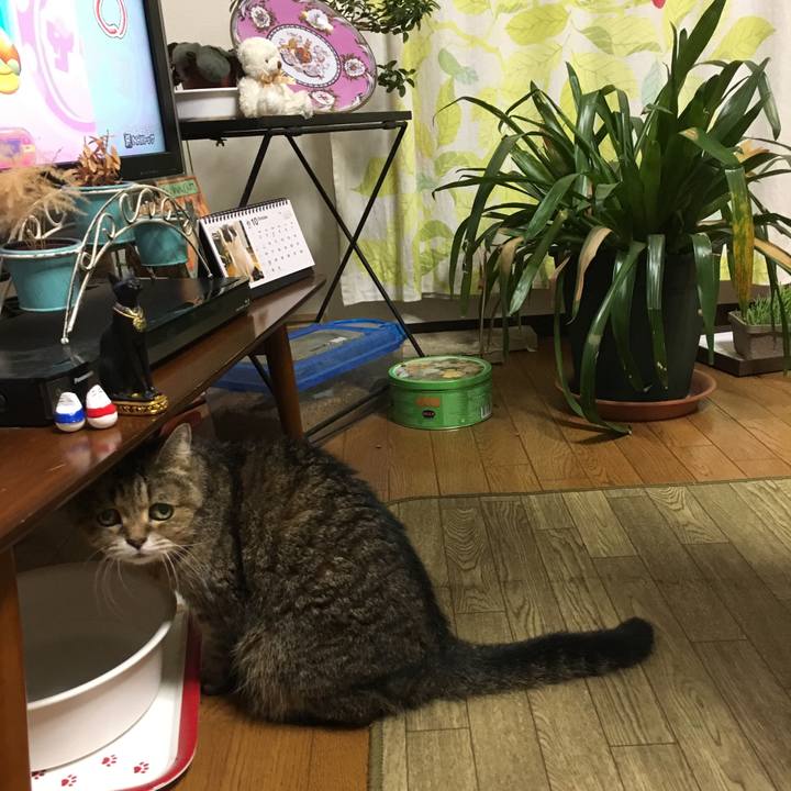 0e2a7013 c470 4ce5 a3bd 654cf7625d16 1508319370649