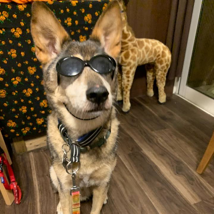 0e2a7b50 4d12 4b5c be10 3bbd8098422f 1572472731647