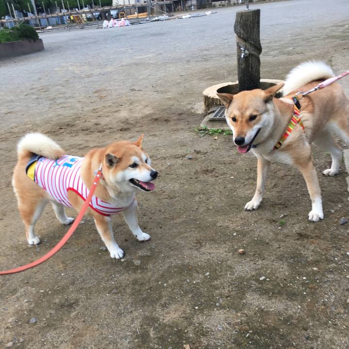 0e2a9106 390e 4fc6 a2f8 4b64a4b5a1ca 1564439715359