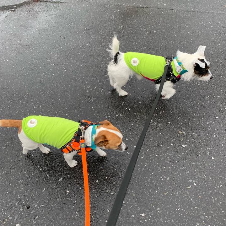 0e2af1e1 d67b 41fa 89a2 0cf99a68bb37 1551403242013