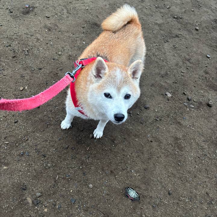 0e2af51d 3959 4702 b586 21a8622ec630 1760913596817