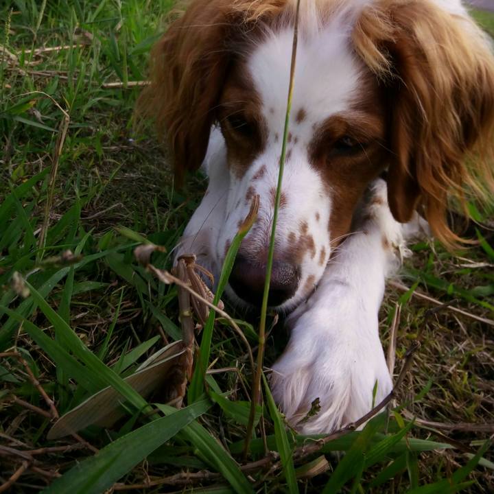 0e2b0da6 02b6 4a34 9829 ef53293213f5 1519301451380