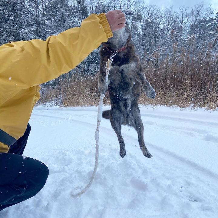 0e2b3226 257b 4452 b2cb 4c64e3b9c660 1609465740514