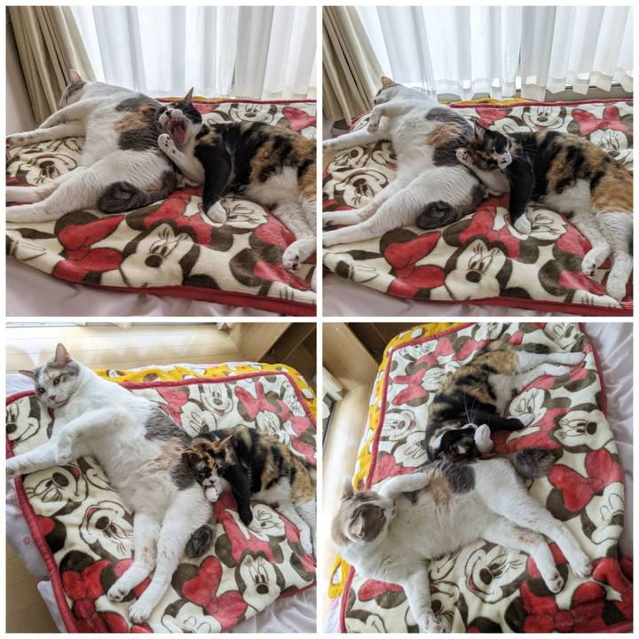 0e2b3611 02e1 4517 b6c6 9eeaed8adf02 1683348429868