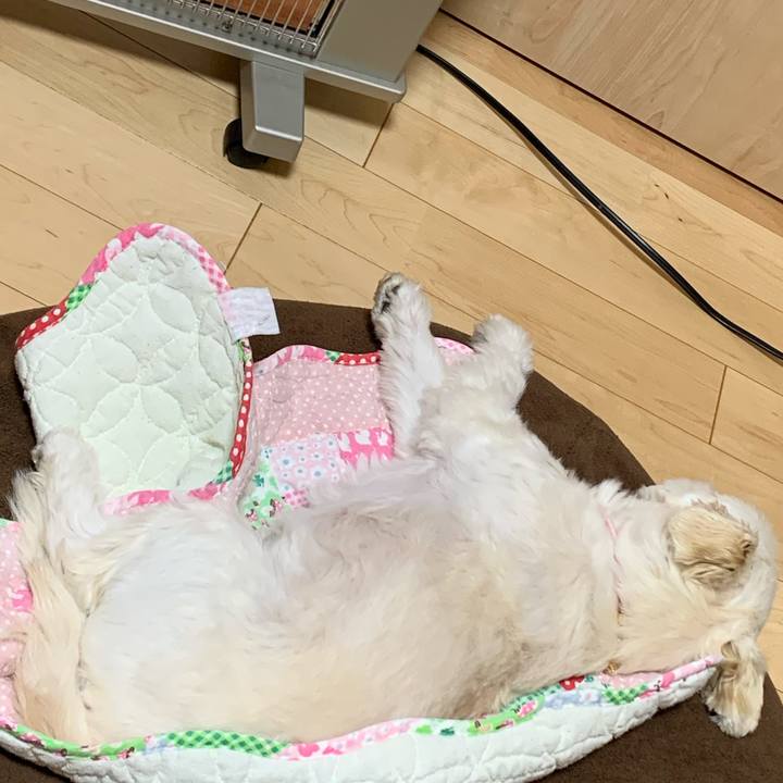 0e2b4e68 358d 449a 9efb 5934d3948820 1585392445121