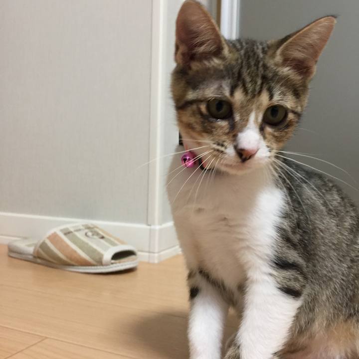 0e2b7013 6371 4e7c afd9 20bdc5cce020 1536153815734