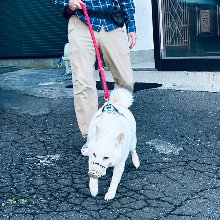 0e2b839e 01eb 455b 9ce1 c9ab4dc29efd 1695331668215