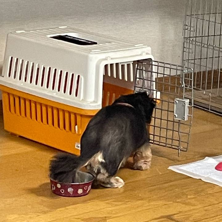 0e2ba771 c033 4d83 b231 3d21d39bb6d8 1634161038110