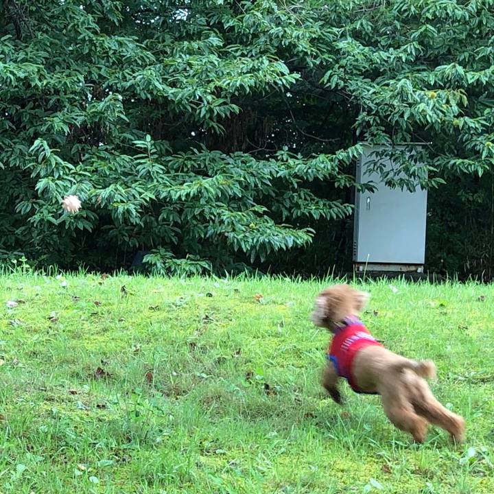 0e2bb607 587f 475a 9ad8 462a1ba4e29f 1567116838009