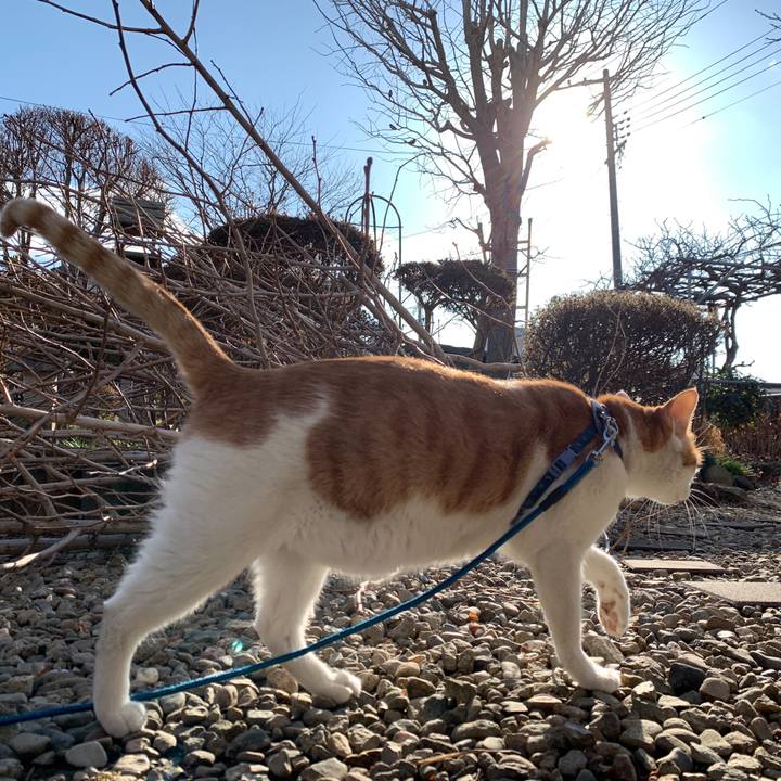 0e2bdaca 0c1e 477e 963b 9f8d327f9a5b 1577595416714