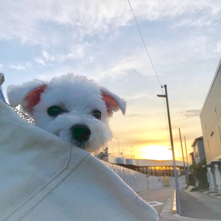 0e2be16e 327d 4be0 9580 ca06bc34a442 1565138251801