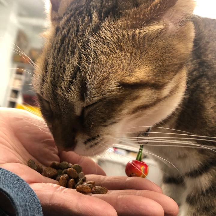 0e2c390e 4d7f 4f22 a88e 7122241ceacf 1643626315811