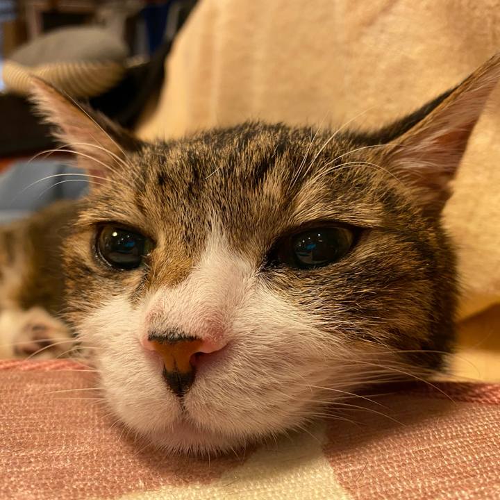 0e2c7c5e 6e65 4074 b0c6 7990cd501f19 1603889724871