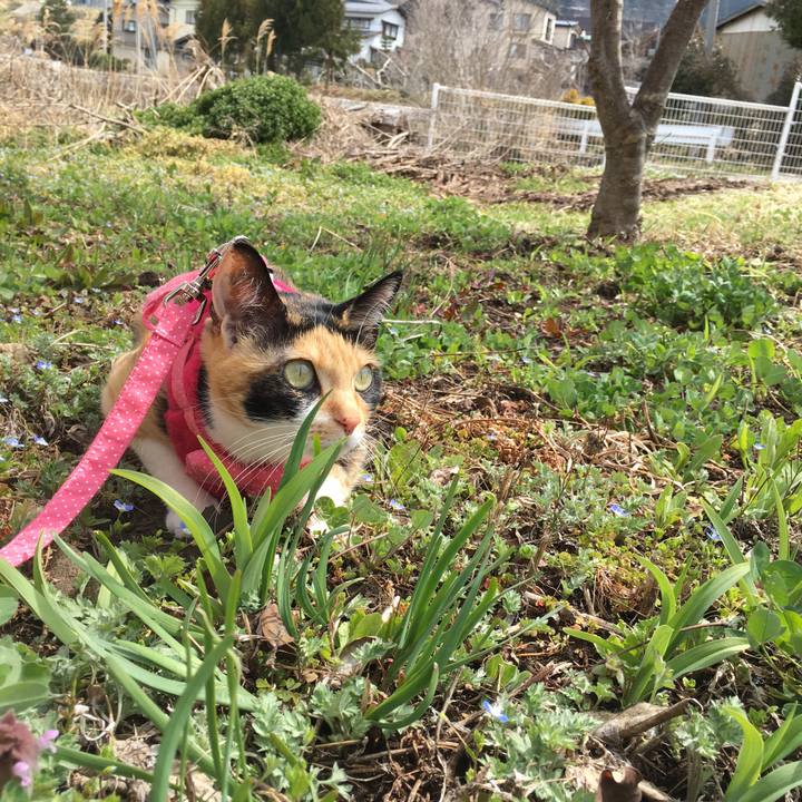 0e2c8202 cfb4 4c7e 88c7 dd07e29dbf46 1522291499006