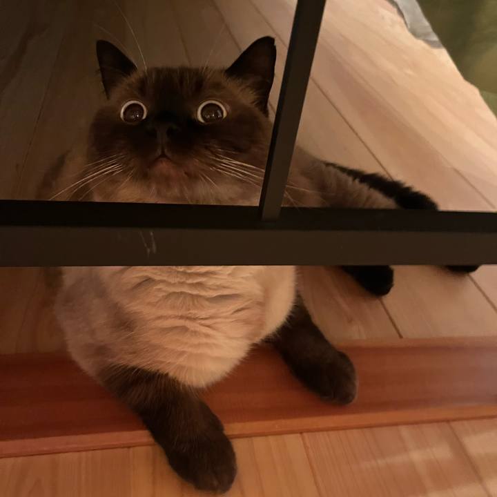 0e2c94db abcc 4862 b4dd 50cb65f61cf9 1661341686488