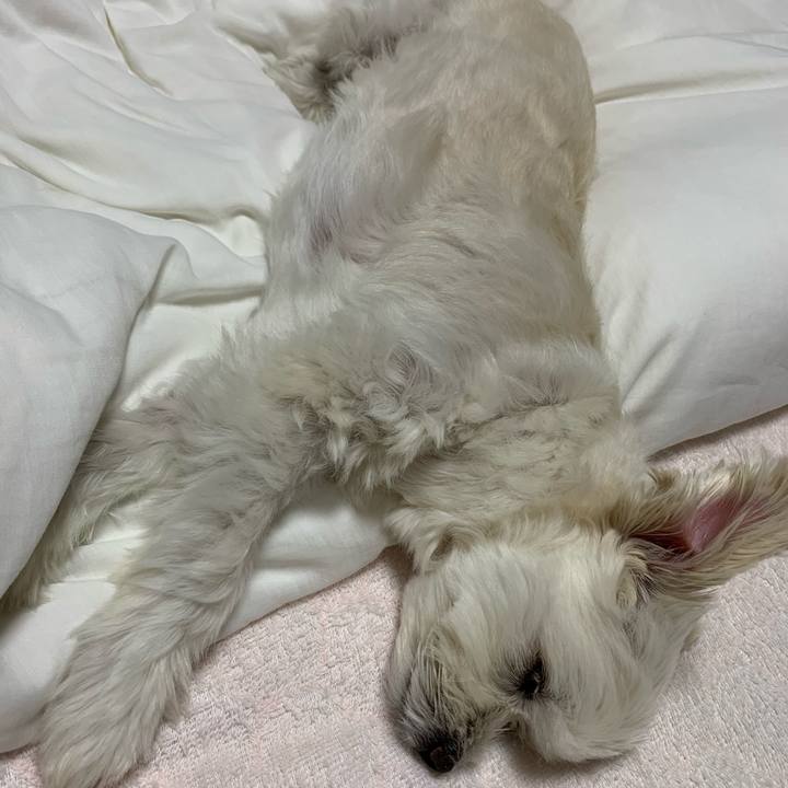 0e2caa90 d750 4483 8386 397db96f509c 1634307740695