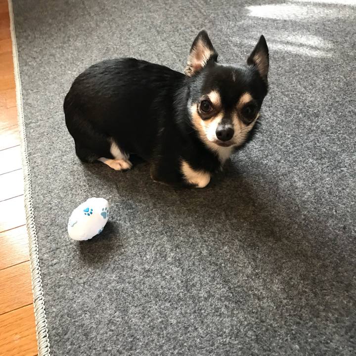 0e2cc626 9036 48c1 a937 9d938104c128 1521247950262