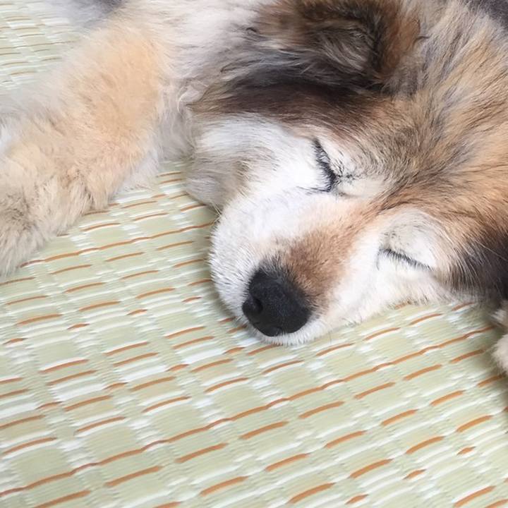 0e2cd90b f675 4275 ab9c e3110bada71c 1636589270144