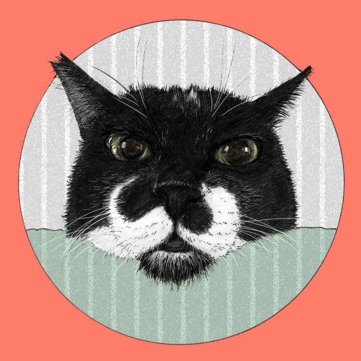 0e2d0dfe dafd 496a 8c1c 230e838681e0 1579441941772