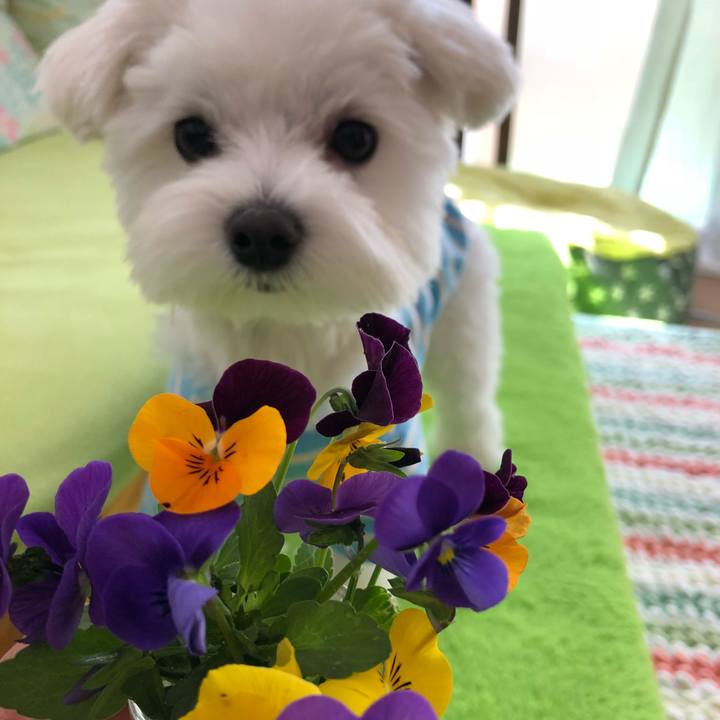 0e2d14d7 aae2 41b9 8cbd 14aee4c45ca7 1521783268813