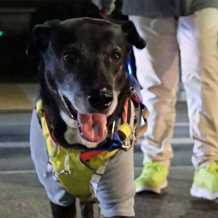 0e2d4d77 2e6a 47aa b9fe 16f176c48d63 1771153310090