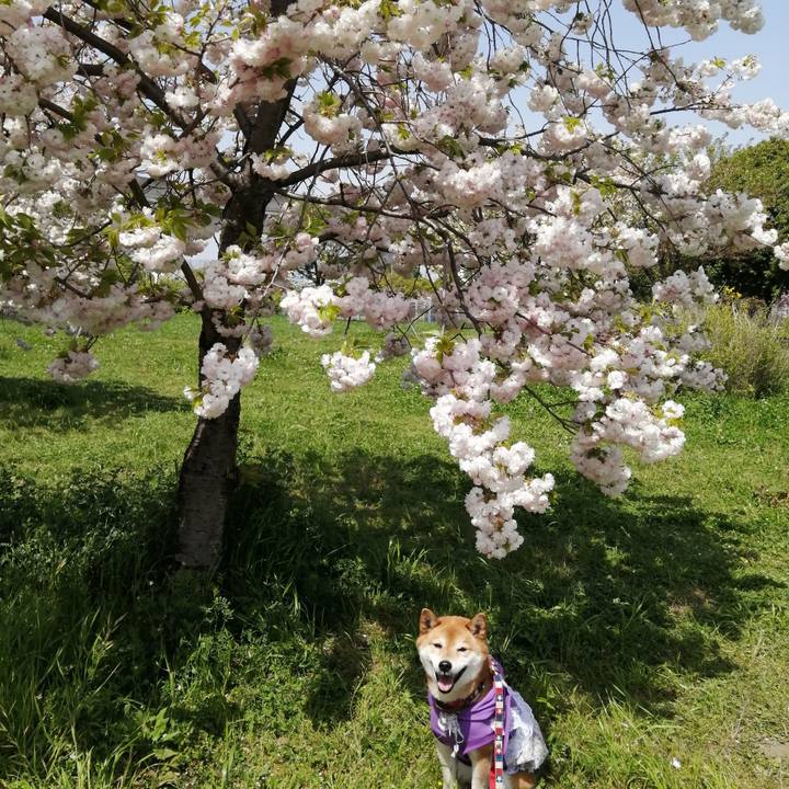 0e2d9365 0104 4904 b26d 3dadec4bc2d5 1681209400144