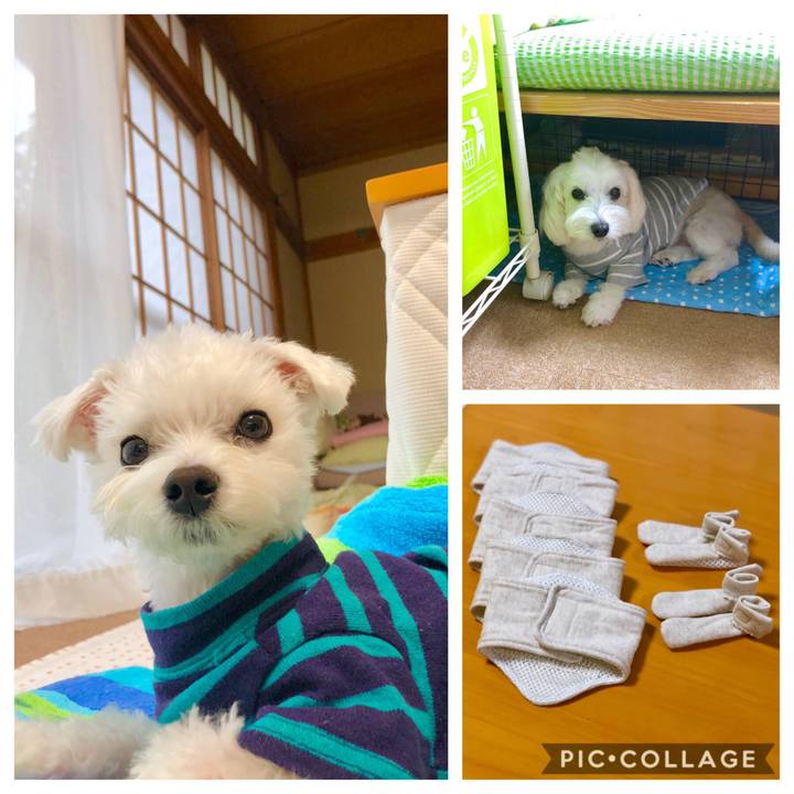 0e2df235 d487 4cad 9a4d 736f69c7a4ce 1560148125451