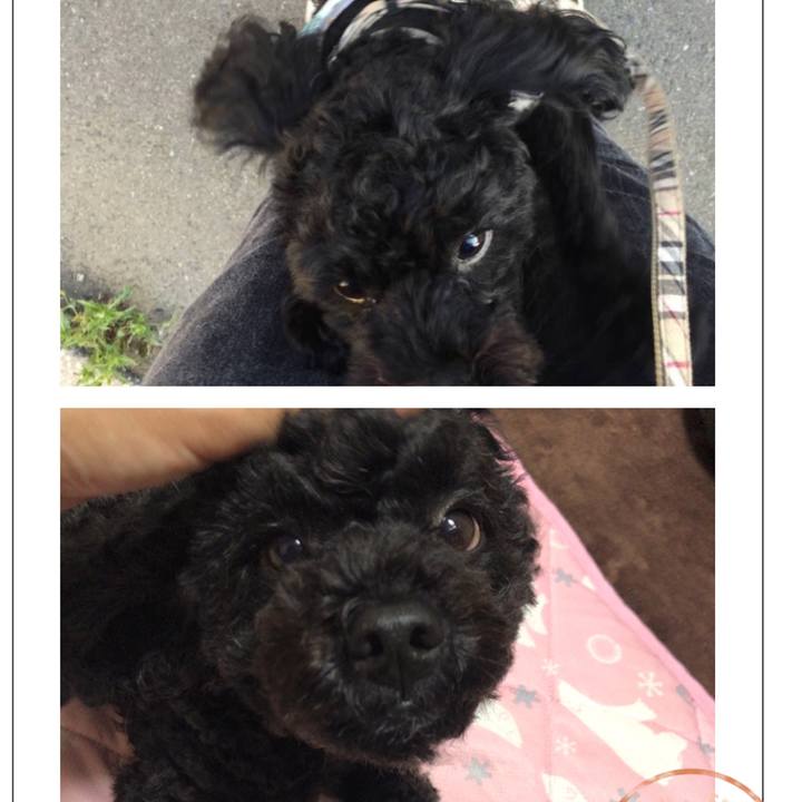 0e2e1232 3ab0 4ca9 9bae d14dde618439 1559803229308