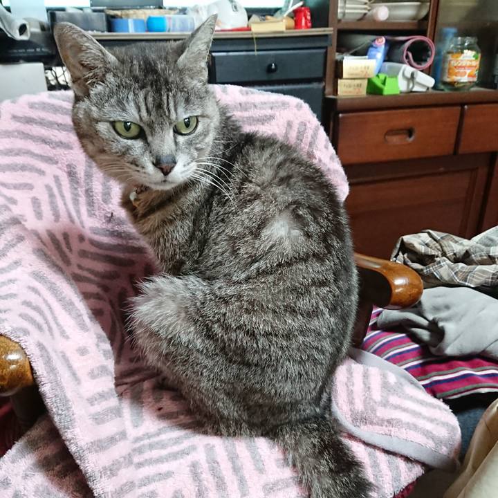 0e2e3dbd 895c 4138 9a2c e3f1ba91d3bf 1590443030964