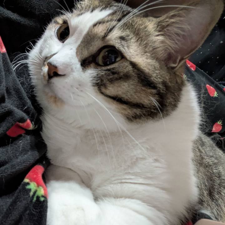 0e2e47ca 090e 4fd5 951e 68b0d5f84e49 1764240740797