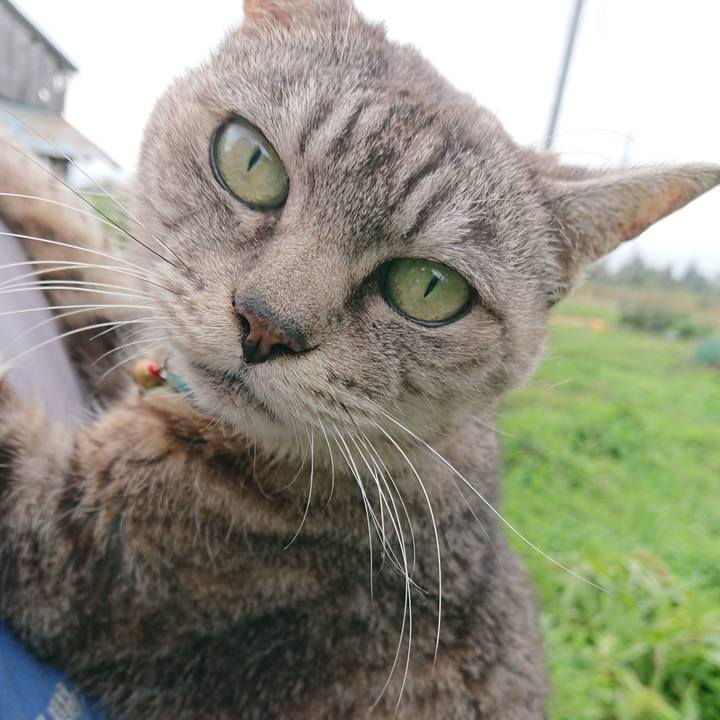 0e2e4b1f 8af4 4061 952f 86a4a0d9de3c 1602619999147