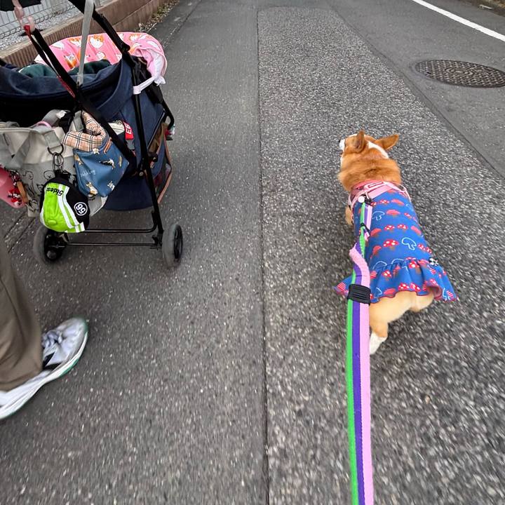 0e2e56b7 7d72 466e bd20 f6cf3fb44508 1763895187858