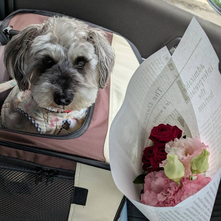 0e2e5a9e baa0 4b0d 9d91 76328cb38359 1750109655524