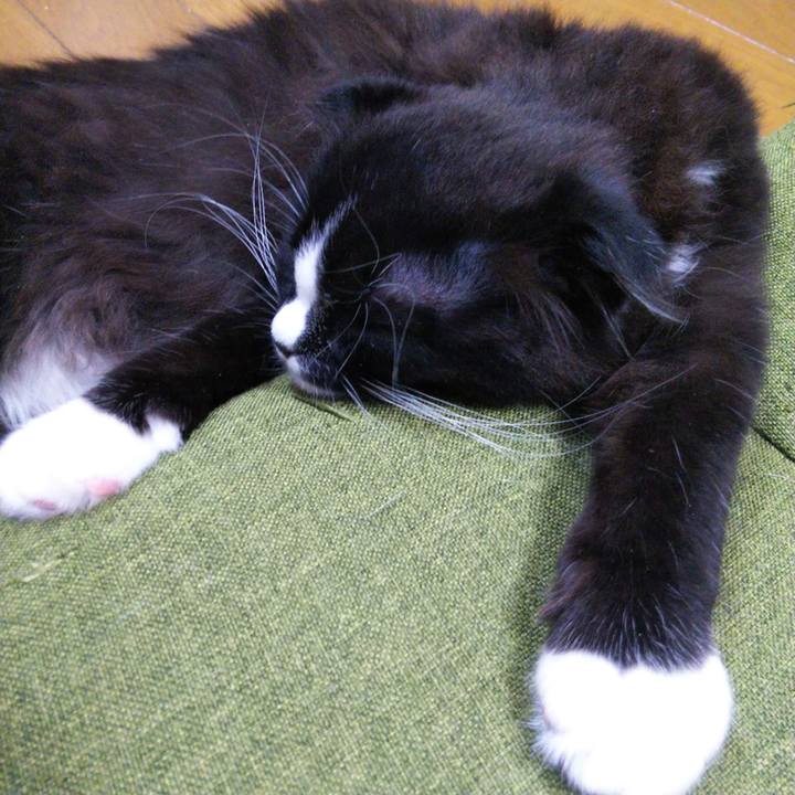 0e2e5e98 c044 4a69 ace4 256f685dced1 1641554976968