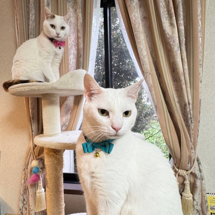 0e2e5fa0 8677 4a63 b8be 684c1e624427 1765672543172