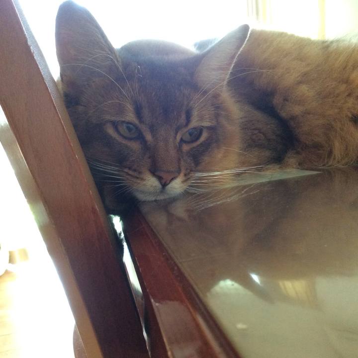 0e2e7677 eff7 4309 82dc bfeb19b72711 1599528621398