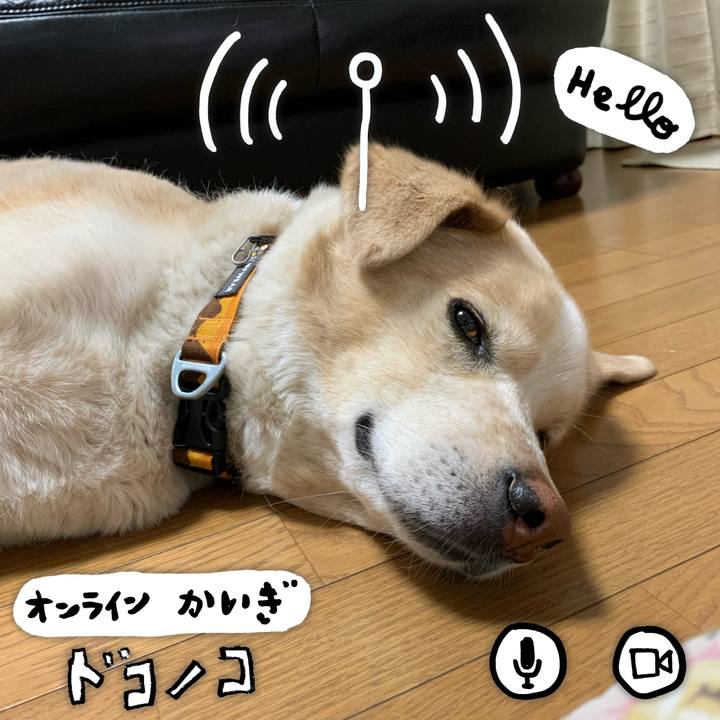 0e2e8570 945d 4104 bae7 c6fa7892a030 1590761952994