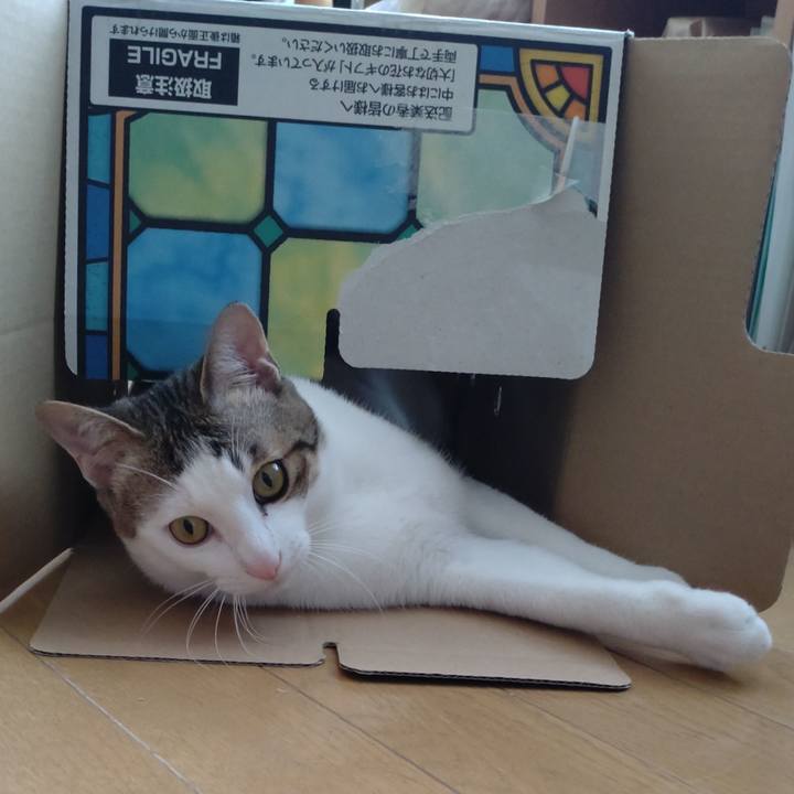 0e2e92b1 a610 4509 a55c 25c326ab07f0 1653193616624