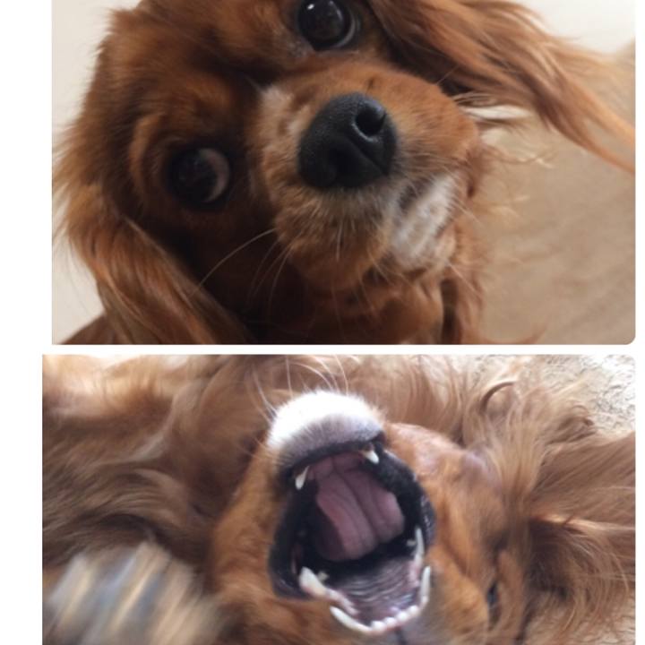 0e2e93a9 b79f 4ce5 88e6 005d424ac5ce 1520979571768