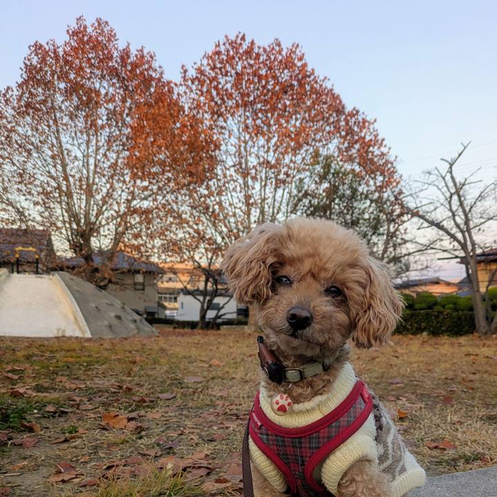 0e2e9ab3 188b 4cc4 a9a0 79197d4363f1 1764628074537