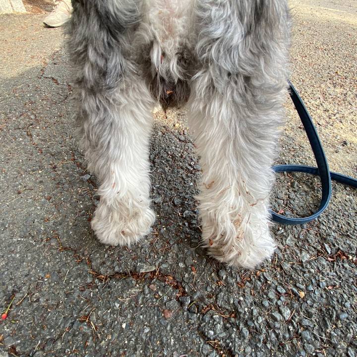 0e2ebb5a 5c4d 4a75 ada2 60368f4de6c9 1588427576653