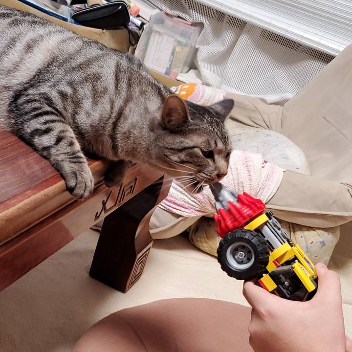 0e2efb0c 7487 4e6c 8130 6cd0d3810af7 1704003171360