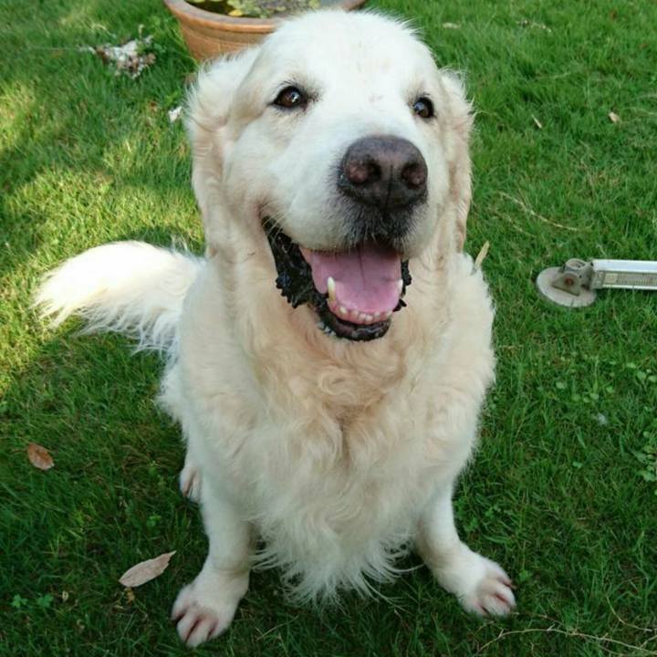 0e2f133a 116a 4150 a11e c30c5ed4fe2b 1591368695424