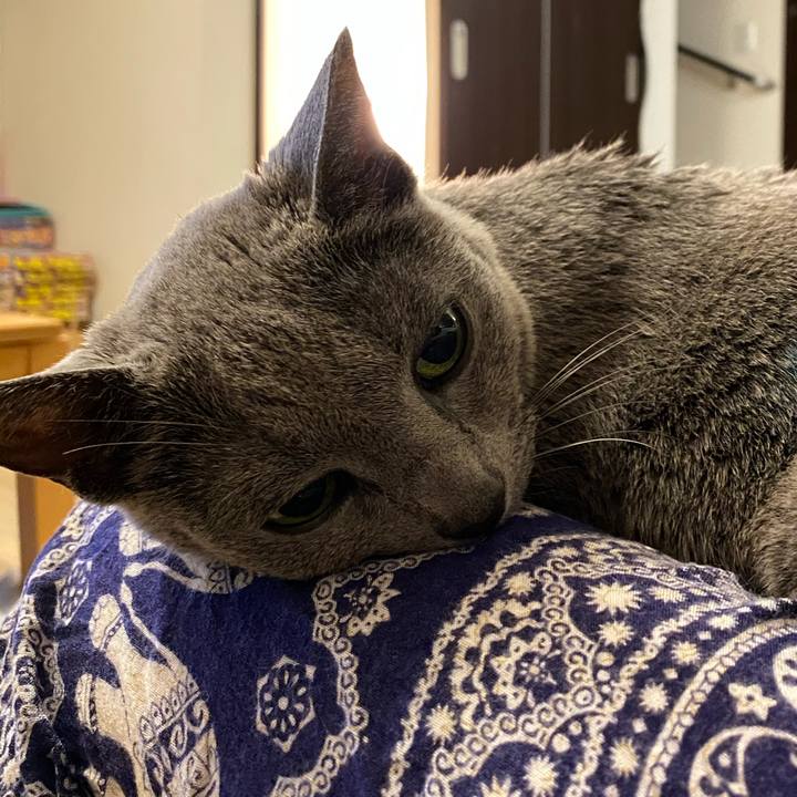 0e2f4a79 b78c 4409 87aa e2d9eccf02ee 1602418697743