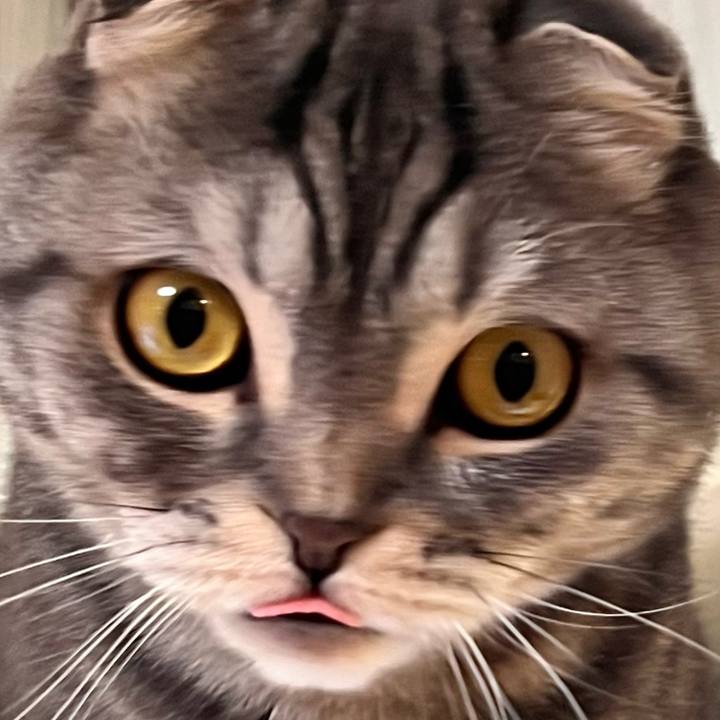 0e2f6dc3 008c 4159 858a f3dc99da07be 1668259169999