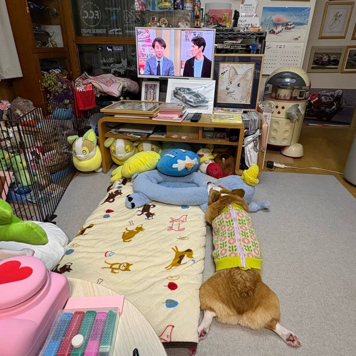 0e2ffa12 9e3d 4ff8 a8de a1a026a617ed 1769909807439