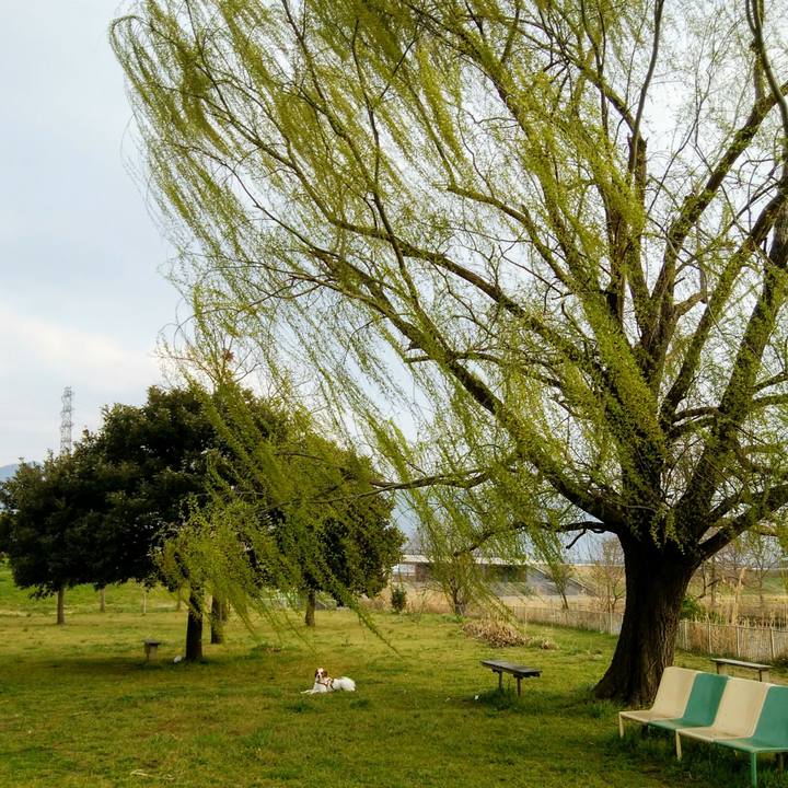 0e30152b 9edf 4c24 85a6 2328a6215c8e 1553244872556