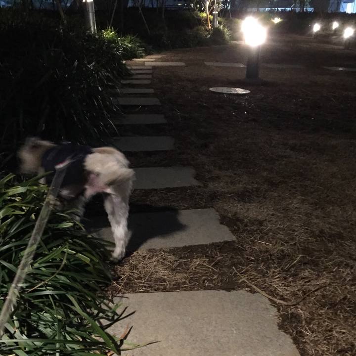 0e3059ca 5e86 4f98 9b89 9f767a6660b7 1547638699367