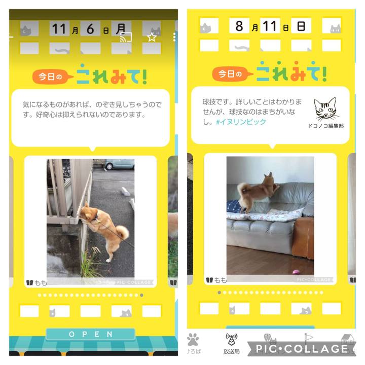 0e307723 5392 4fca 84f3 86d5d35da233 1724654921078